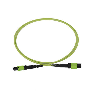 50/125 OM5 Mpo Fiber Jumper Mtp Mpo Fiber Patch Cable 3.0mm PVC