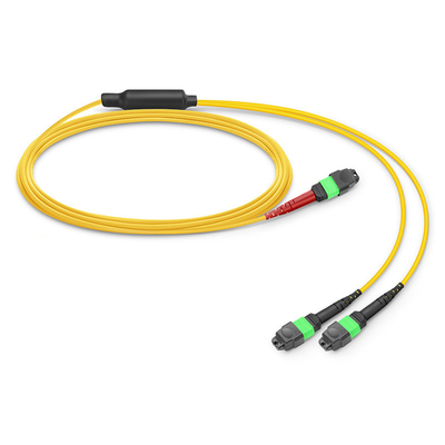 24 núcleos Mtp Cable de parche Mpo Cable de parche de fibra SM OS2 con chaqueta de salida LSZH