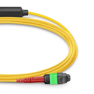 24 núcleos Mtp Cable de parche Mpo Cable de parche de fibra SM OS2 con chaqueta de salida LSZH