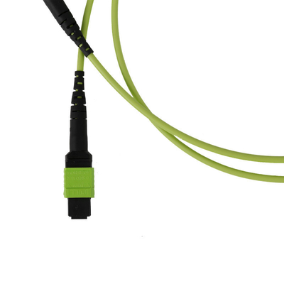 50/125 OM5 Jumper de fibra Mpo Mtp Cable de parche de fibra Mpo de PVC de 3,0 mm