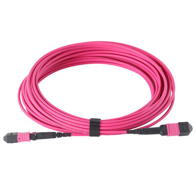 Cable de conexión de fibra óptica multimodo OM3 MPO a MPO de 12/8/24 fibras